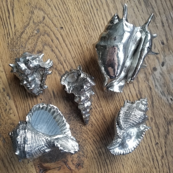 Silver Shell Decor - Picture 3 of 4